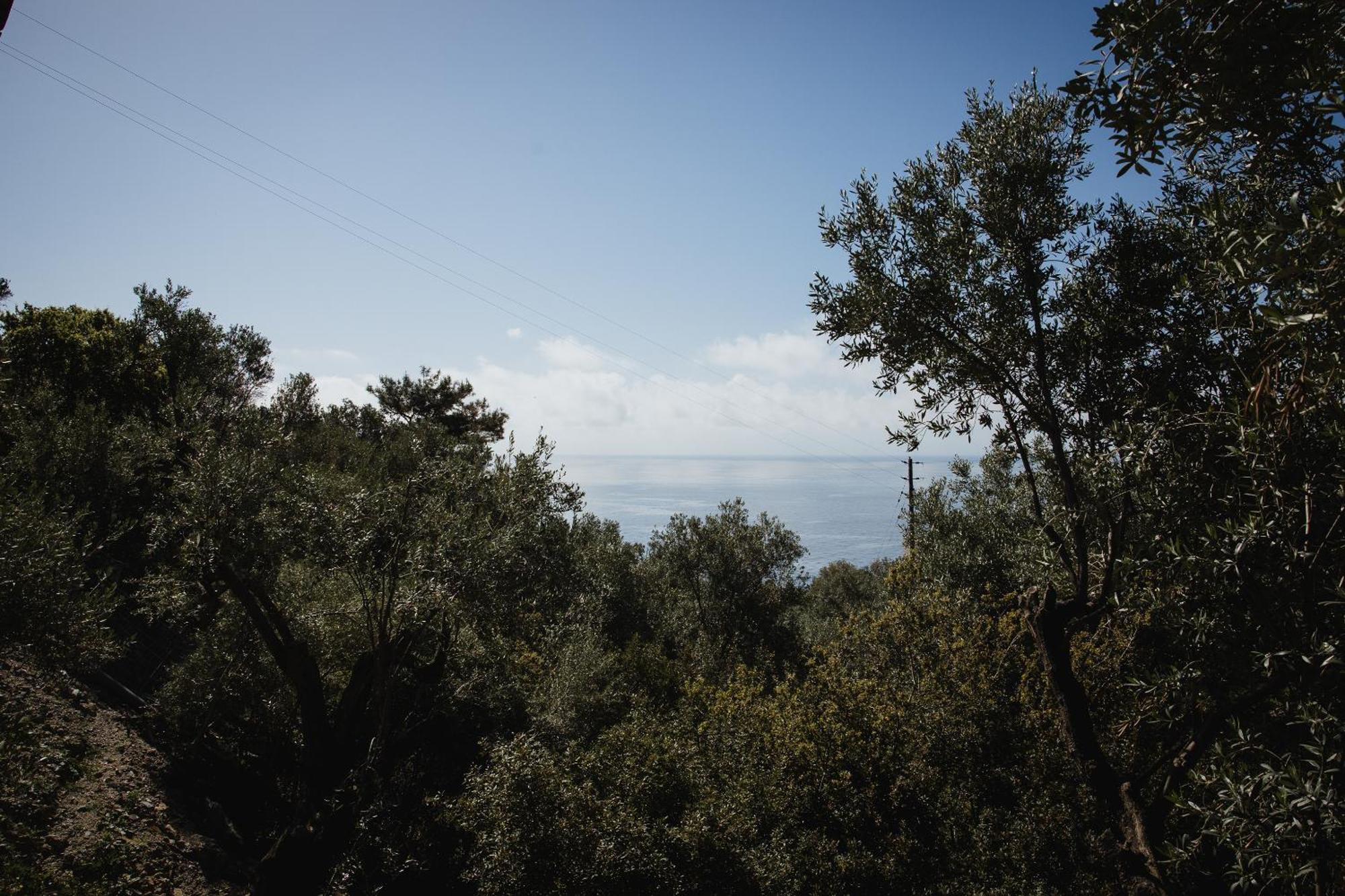 Five Olive Dream Trip Villa Plomari Exterior photo