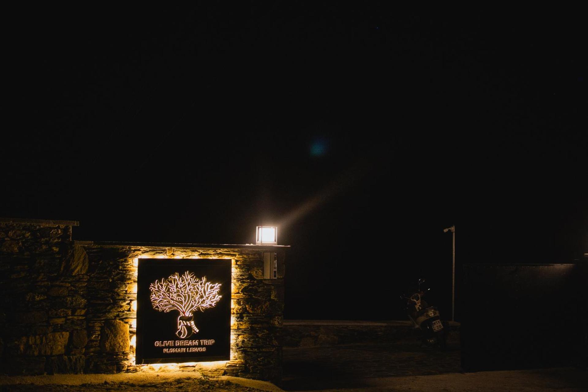 Five Olive Dream Trip Villa Plomari Exterior photo